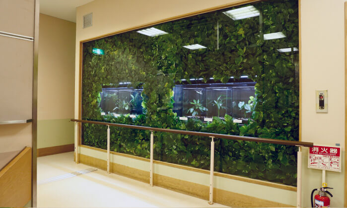 イメージ画像:展示室（４）