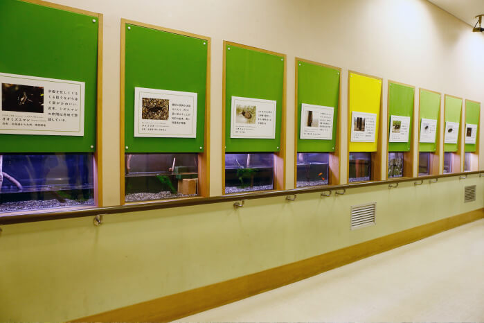 イメージ画像:展示室（５）