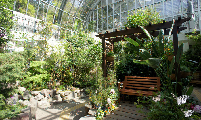 イメージ画像:放蝶園(ほうちょうえん)