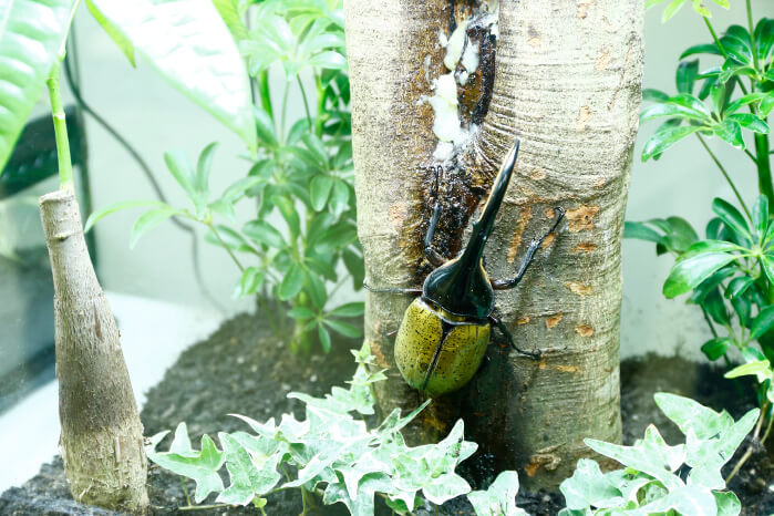 イメージ画像:博物館からのメッセージ