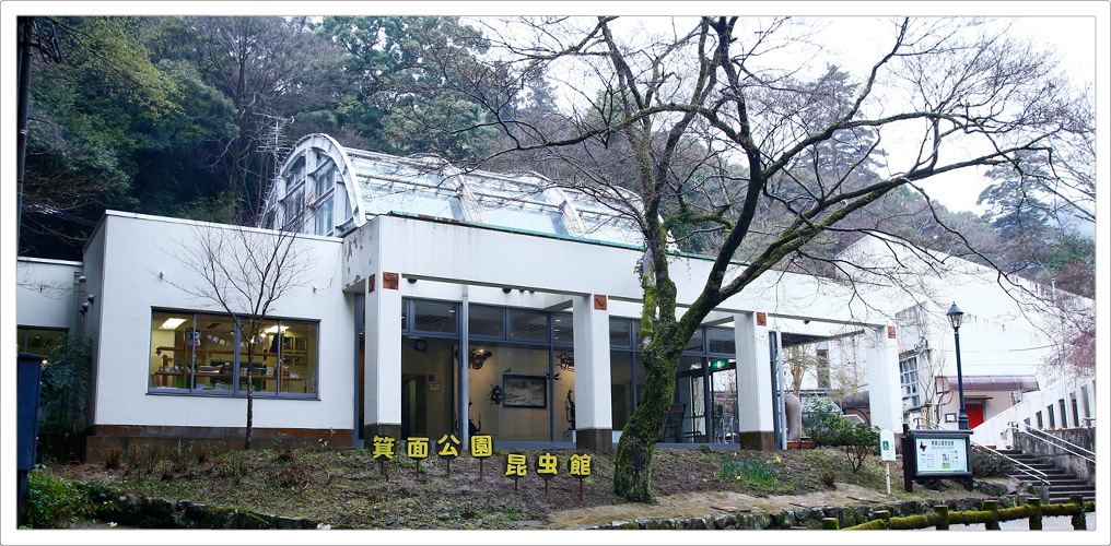 イメージ画像:箕面公園昆虫館