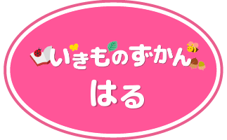 いきものずかん春