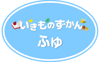 いきものずかん冬