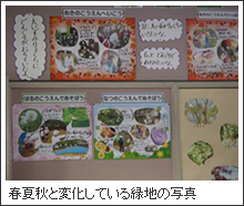 春夏秋と変化している緑地の写真