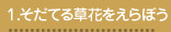 そだてる草花をえらぼう