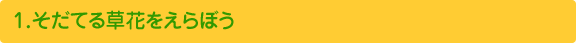 1.そだてる草花をえらぼう