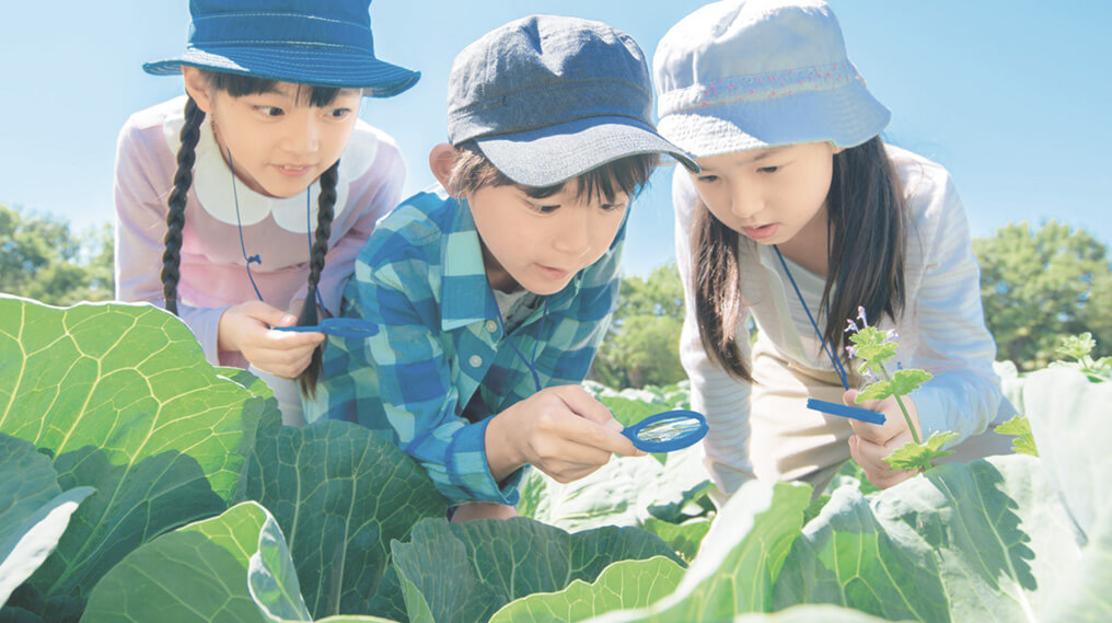 イメージ画像:いつも近くにあるもの。