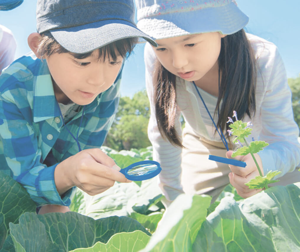 イメージ画像:いつも近くにあるもの。