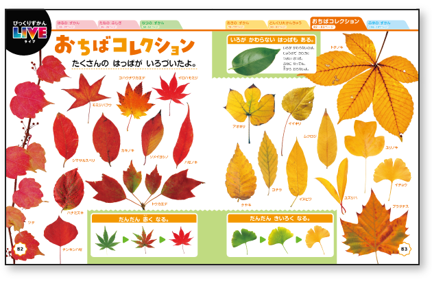 イメージ画像:拡大ポスター（掲示用）