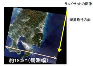 ランドサットの画像