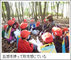五感を使って秋を感じている