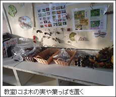 教室には木の実や葉っぱを置く