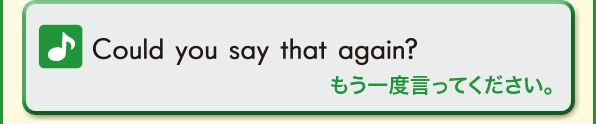 Could you say that again? (もう一度言ってください。)