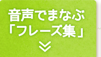 音声でまなぶ「フレーズ集」