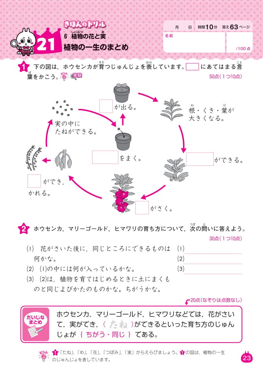 3年の理科 新興出版社
